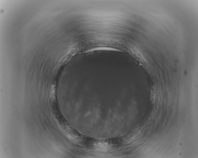 X0000088590598200706011139