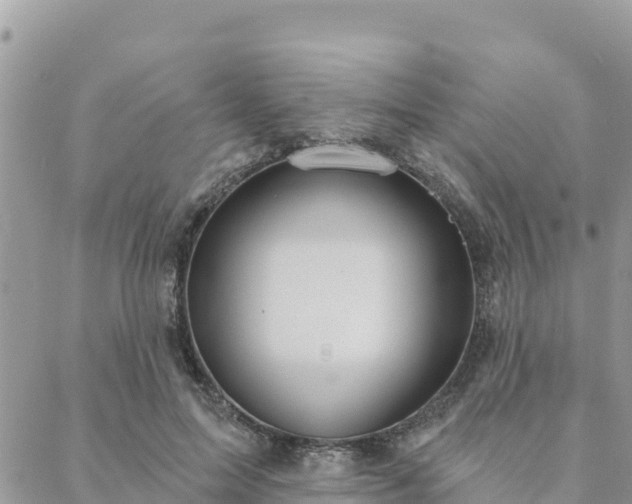 X0000088590599200706011139