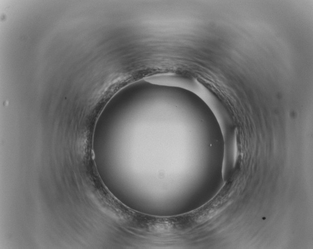 X0000088590600200706011139