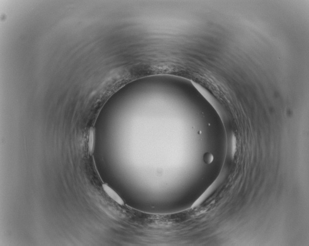 X0000088590601200706011139