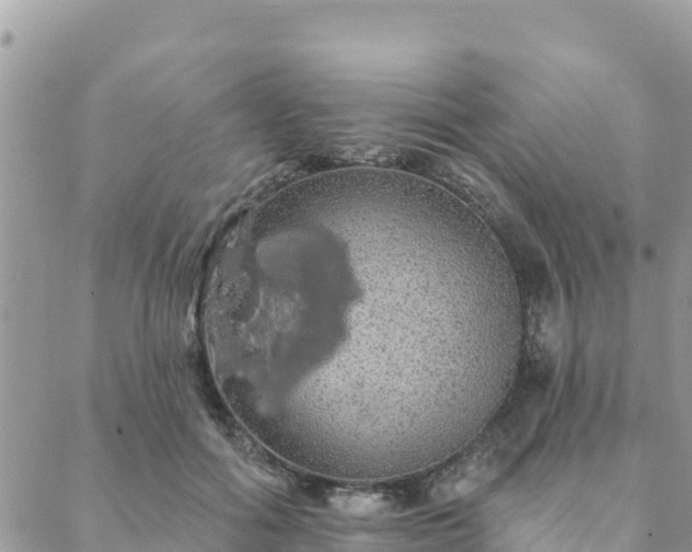 X0000088590602200706011139