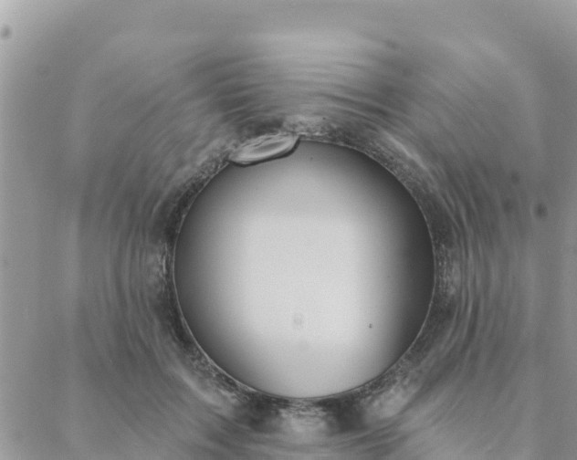 X0000088590603200706011139