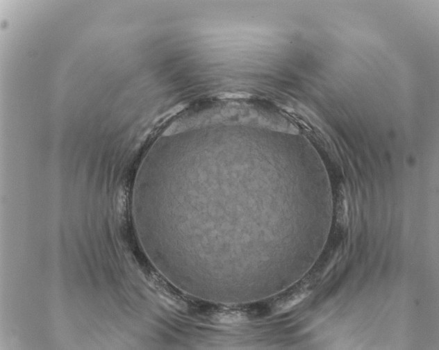 X0000088590604200706011139