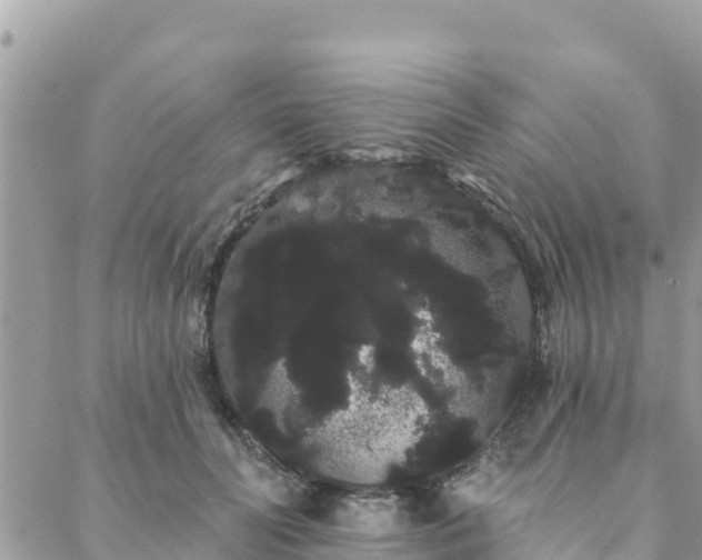 X0000088590606200706011139