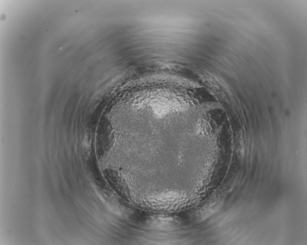 X0000088590607200706011139