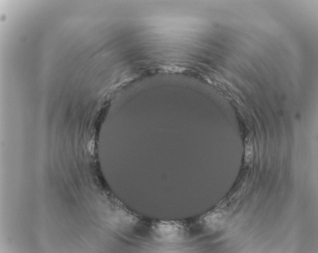 X0000088590608200706011139