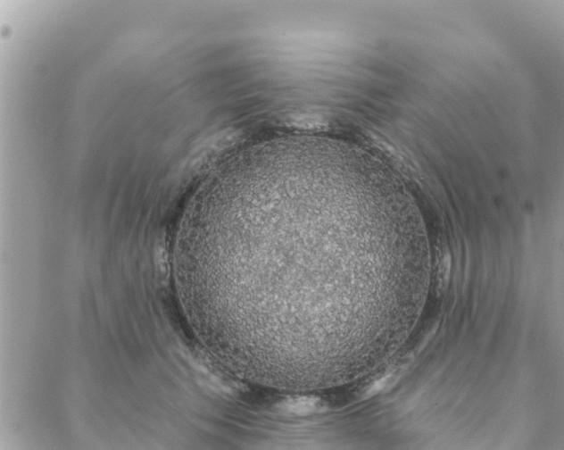 X0000088590609200706011139