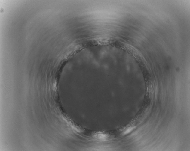 X0000088590610200706011139