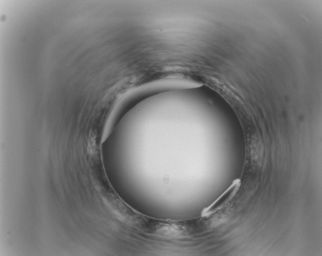 X0000088590611200706011139