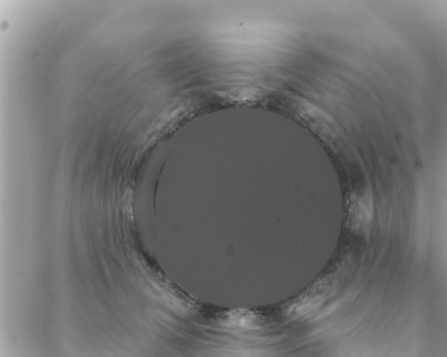 X0000088590612200706011139