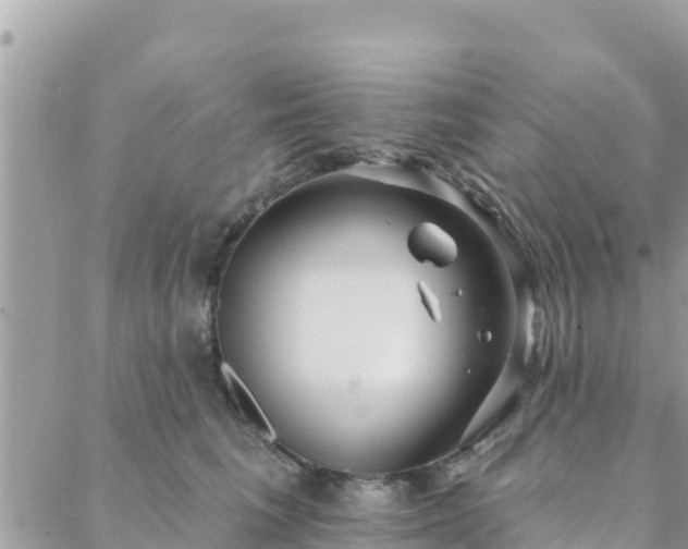 X0000088590613200706011139