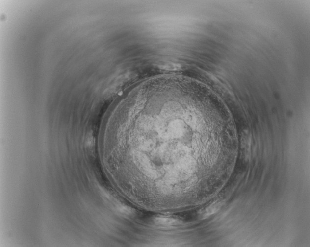 X0000088590614200706011139