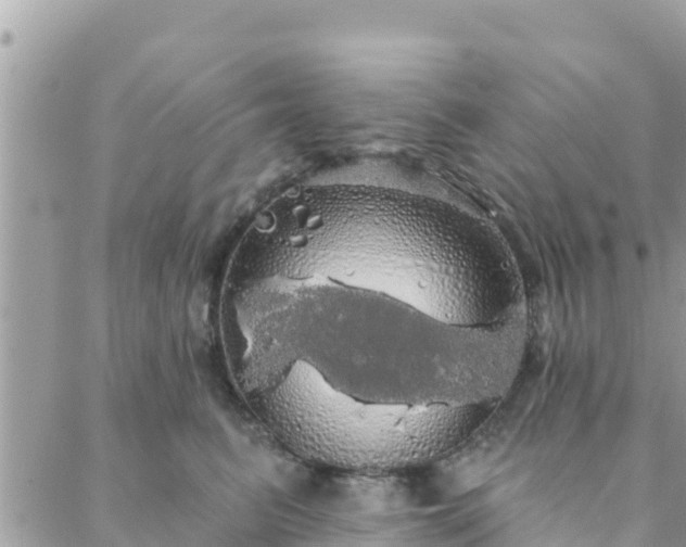 X0000088590615200706011139