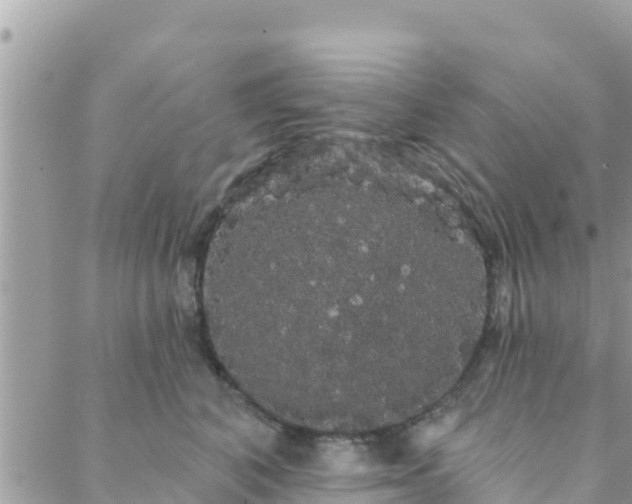 X0000088590616200706011139