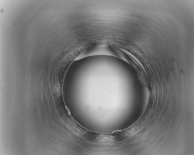 X0000088590617200706011139