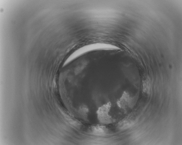 X0000088590618200706011139