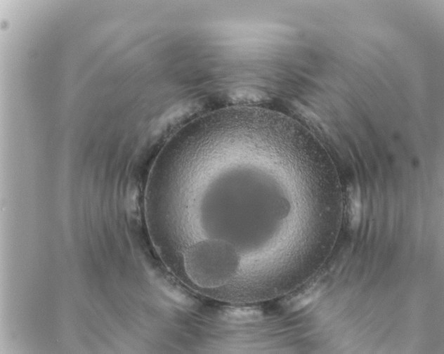 X0000088590619200706011139