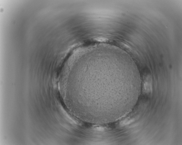 X0000088590620200706011139