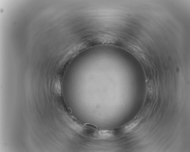 X0000088590622200706011139