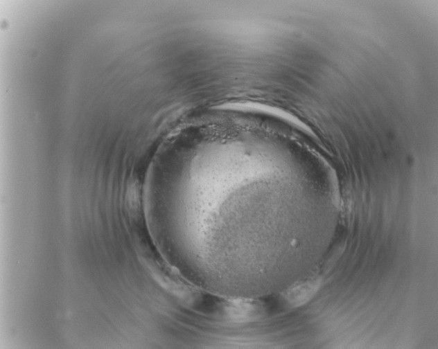 X0000088590623200706011139