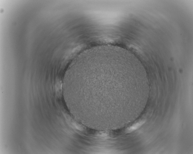 X0000088590624200706011139