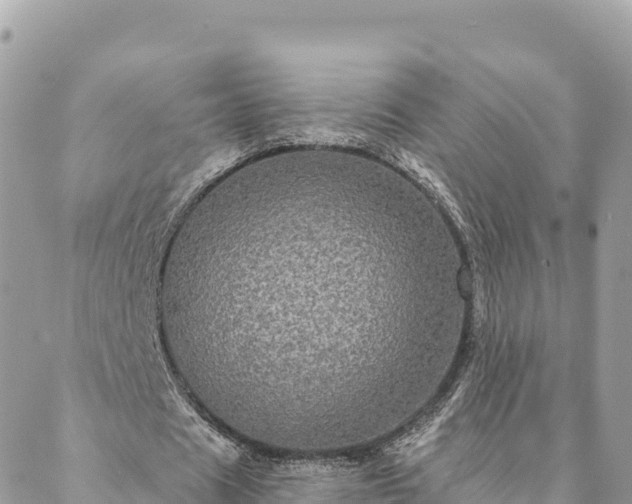 X0000088590625200706011138