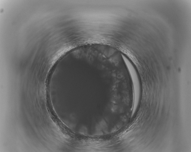 X0000088590626200706011138