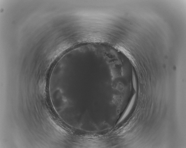 X0000088590627200706011138