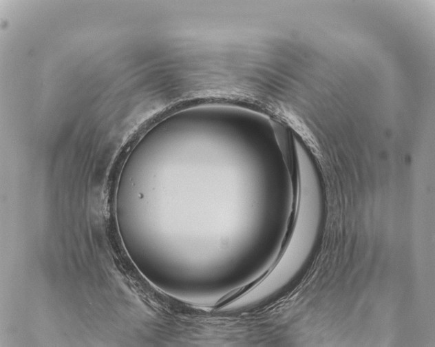 X0000088590628200706011138