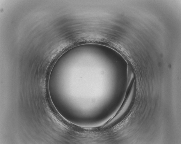 X0000088590629200706011138