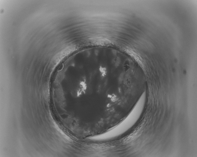 X0000088590630200706011138