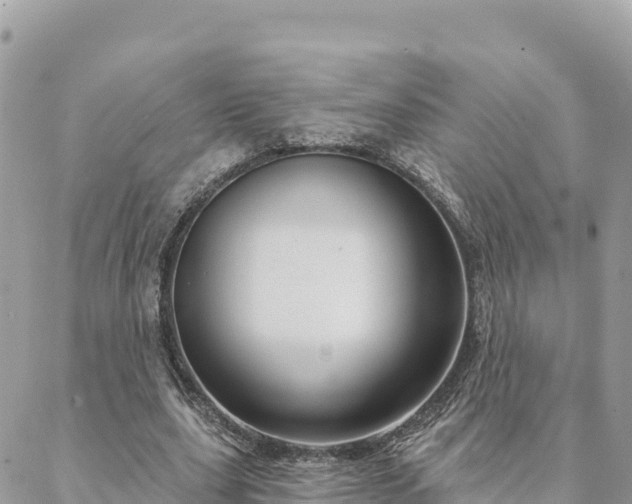 X0000088590631200706011138