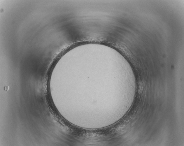 X0000088590632200706011138