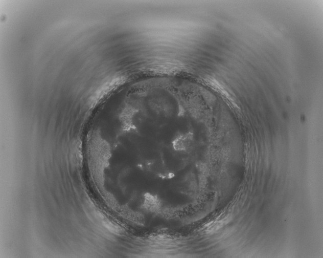 X0000088590634200706011138