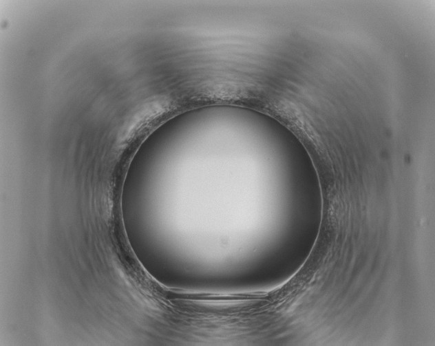 X0000088590635200706011138