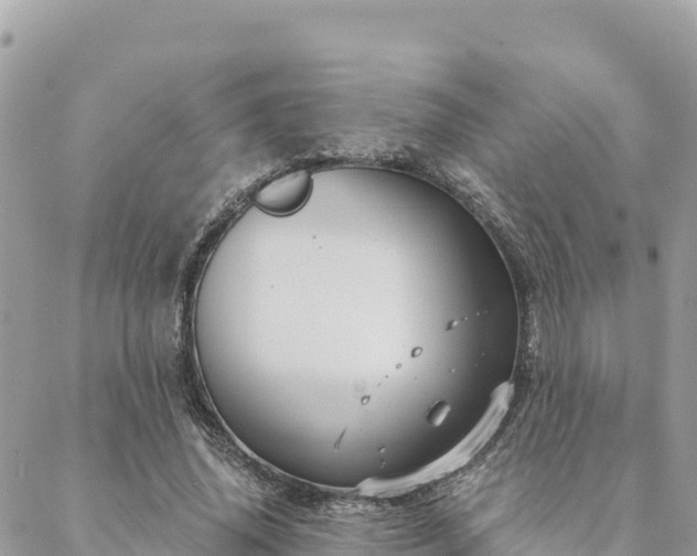 X0000088590636200706011138