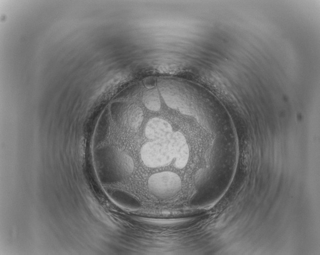 X0000088590639200706011138