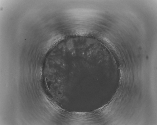 X0000088590640200706011139