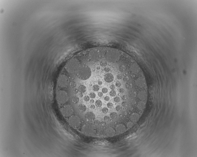 X0000088590642200706011139