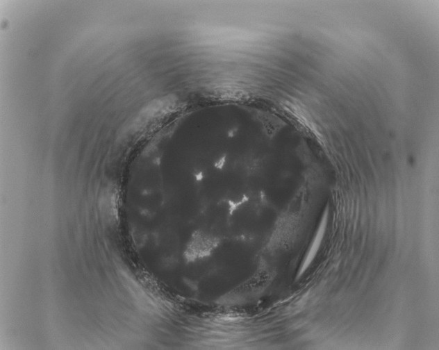 X0000088590643200706011139