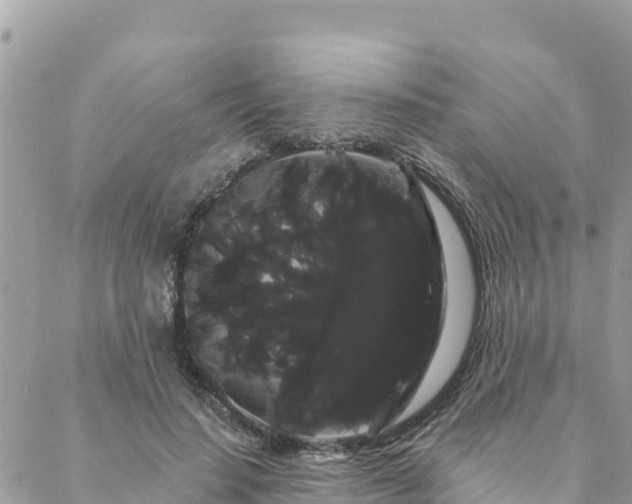 X0000088590644200706011139