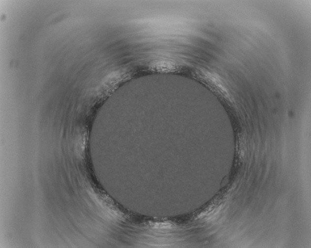 X0000088590645200706011139