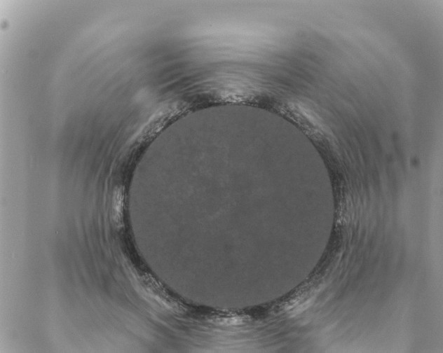 X0000088590646200706011139