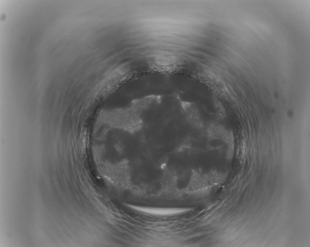 X0000088590647200706011139