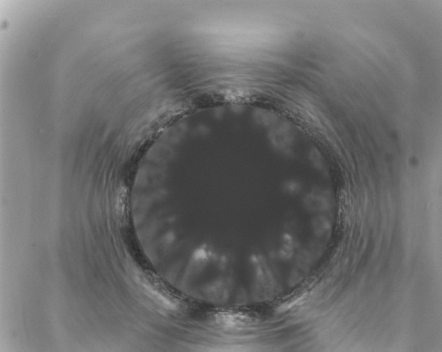 X0000088590650200706011139