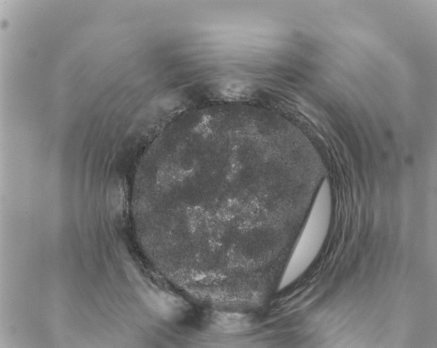 X0000088590651200706011139