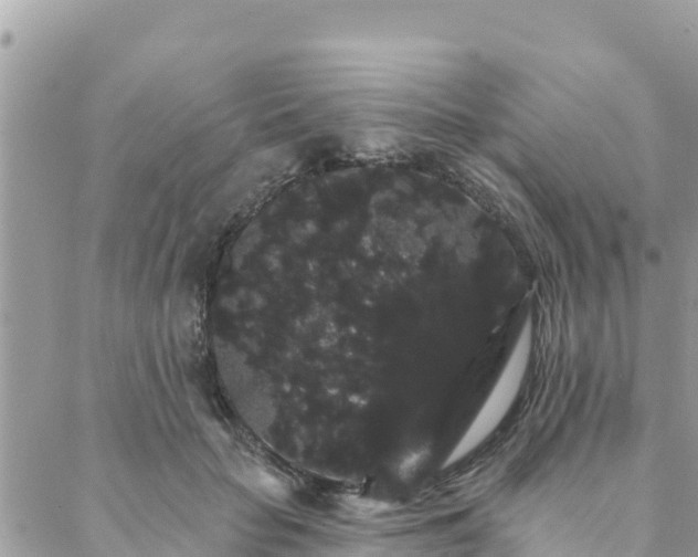 X0000088590653200706011139