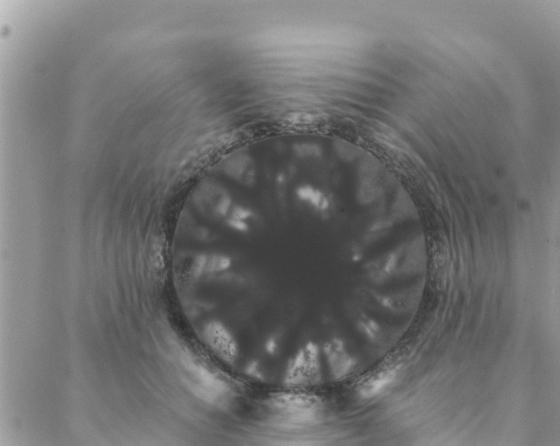 X0000088590654200706011139