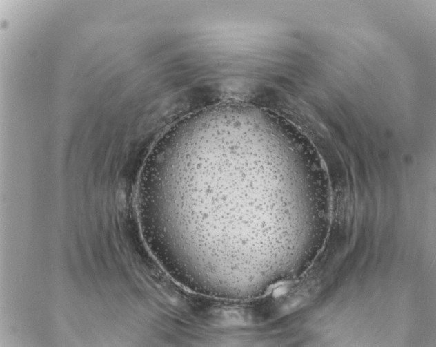 X0000088590655200706011139