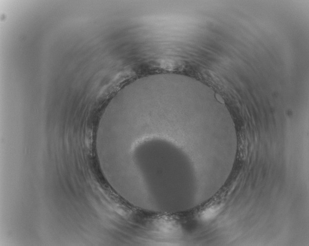 X0000088590656200706011139